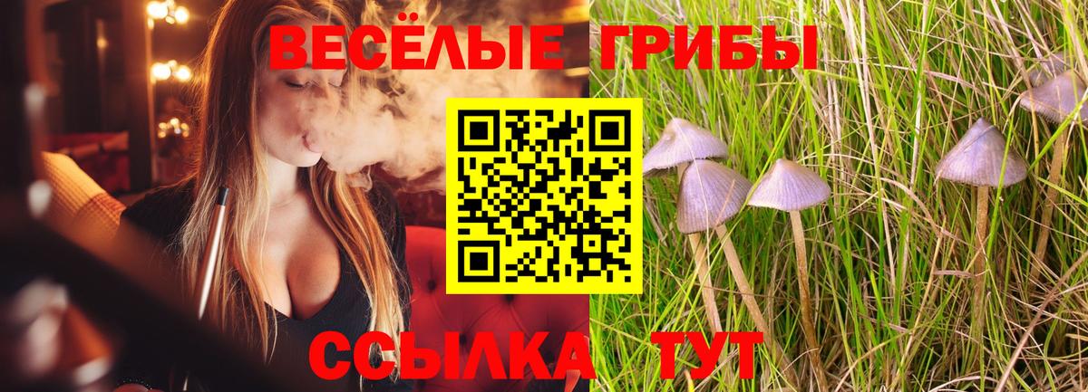 Галлюциногенные грибы мицелий  Галлюциногенные грибы Cubensis  Среднеуральск  Вход с VPN 